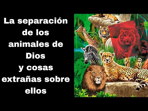 Reino Animal Visto Desde La Biblia