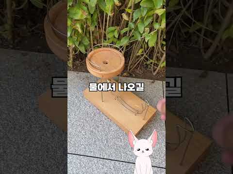 수영장에서 싸우고 생긴 일
