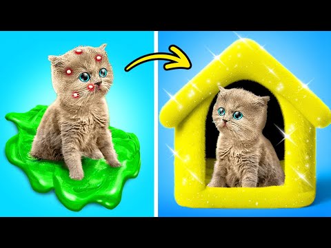 Cutest Pet Gadgets and Crafts for Pet Lovers 😘😻 How To Take Care of Your Pet