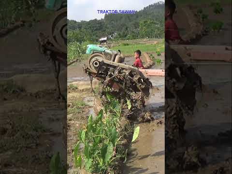 Traktor Sawah 253 Terjun