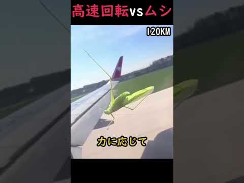 高速回転vsムシ