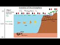 Carbon Cycle and Marine Life Concepts