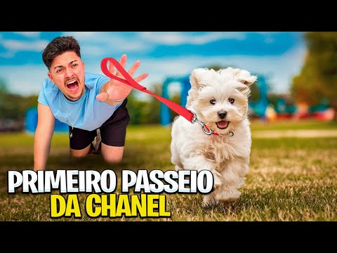 LEVAMOS A CHANEL PARA a  RUA PELA PRIMEIRA VEZ! *Foi liberada