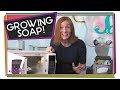 Soap Expansion Experiment Questions