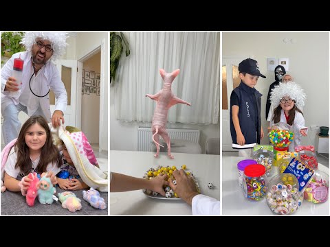 دي دي ميدو - لولو | قناة وناسة