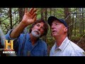 Oak Island Discovery Insights
