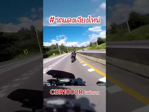 ตามรถตัวแรงในตำนานสุ่ยโมโตflukeeหมีขี่รถcbr1000rrbigbike