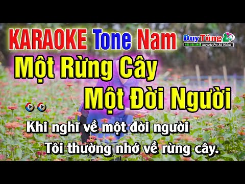 Karaoke || Một Đời Người Một Rừng Cây – Tone Nam || Nhạc Sống Duy Tùng