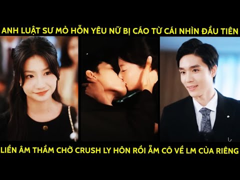 Anh Luật Sư Yêu Nữ Bị Cáo Từ Cái Nhìn Đầu Tiên Liền ÂmThầm Chờ Crush LyHôn Rồi Ẵm Cô Về Lm Của Riêng