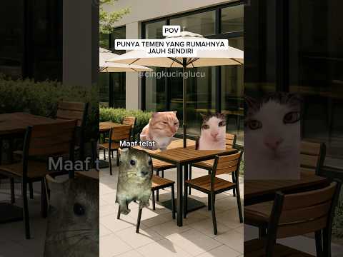 Pasti ada aja 1 yg jauh ๐คฃ #cingkucinglucu #kucing #meme #memesvideo #kucinglucu #funny #shortvideo