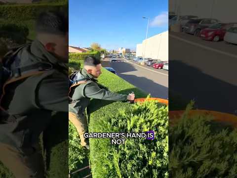 Satisfactory hedge trimmer#knowledge #explore #world #fyp #Hedge trimmer #prune #Grass