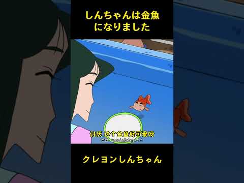 しんちゃんは金魚になりました #music #クレヨンしんちゃん #アニメ #面白い #ショート #コント #anime #雑学