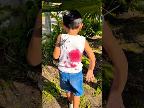 ME PICÓ UNA ARAÑA🕷️😱😭#shorts