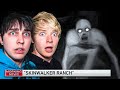 Cryptids and Mythical Creatures