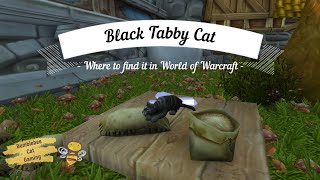 Tabby Bug, Cat Game - The Cat Collector! Wiki