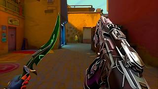 Calm Aim + 0.1 1600dpi = Radiant
