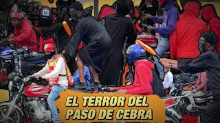 El Terror Del Paso de Cebra | ¡TODO ES UN CAOS! 🥵🤦🏽‍♂