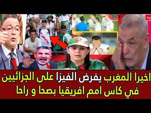 أخيراً المغرب يذل الجزائر بفرض الفيزا على الجزائريين في كأس إفريقيا🚨