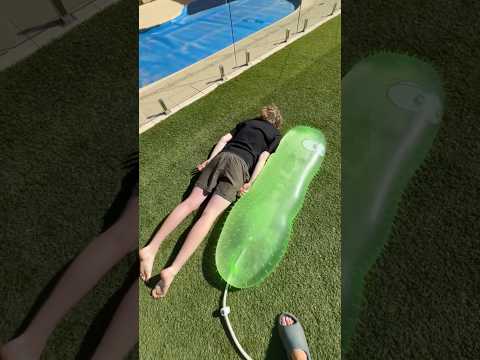 Giant Pickle FLOODED my garden..