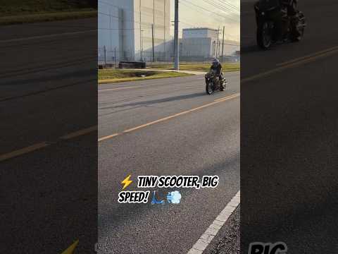 โก Tiny Scooter, Big Speed! ๐ด๐จ