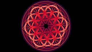 AS - 5th Dimension