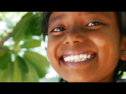 Sysmex XN-31: A new era in malaria diagnosis
