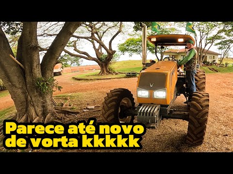 Terminando de tirar o esterco e colocando farol novo no marelão (roçavlog)