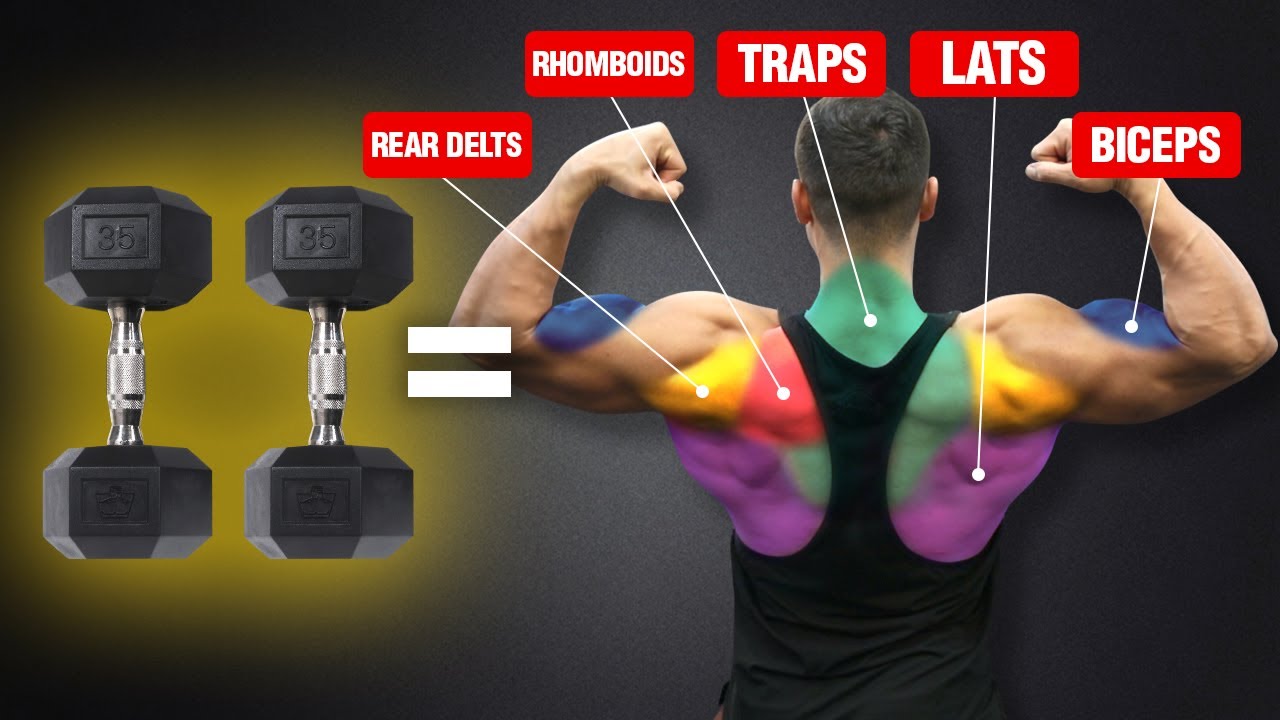 The Ultimate Back and Biceps Workout for Mass (DUMBBELLS ONLY)