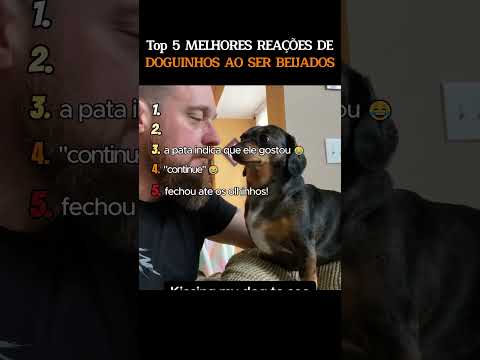 Top 5 MELHORES REAÇÕES de DOGUINHOS ao ser BEIJADO!