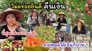 EP.969 รับประกันแห่งความแซ่บ ไม่อร่อยยินดีคืนเงิน !! ขายหมดสวนได้เงินกี่บาท ?