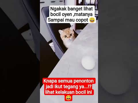 Saking Tegangnya Matanya Sampai Melotot😄#shorts#short