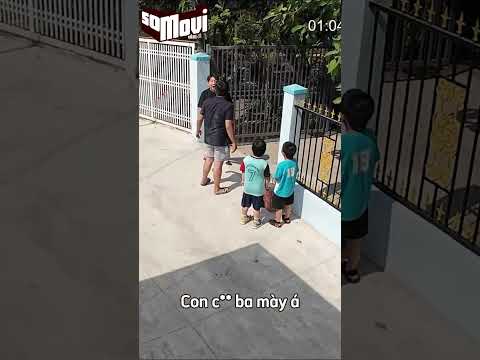 Báo con đi phá giấc trưa của hàng xóm và cái kết 😀