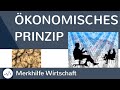 oekonomische-prinzip-maximal-minimalprinzip/