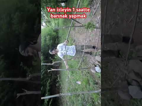 Vahşi doğada 1 saatte barınak yapmak