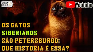 Os gatos SIBERIANOS  de São PeterSburgo!!!  (uma história de guerra)