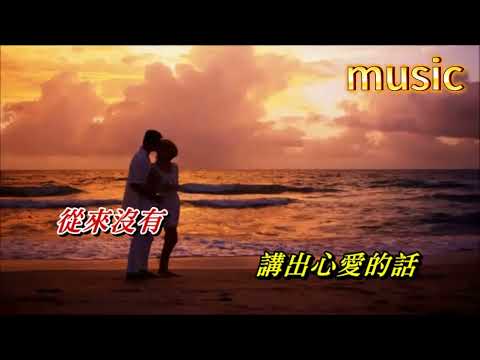 再見Puppy Love 林珊珊 ‧ 陳百強KTV 伴奏 no vocal 無人聲 music 純音樂 karaoke 卡拉OK 伴唱 instrumental再見Puppy Love 林珊珊 陳百強