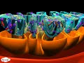 Exploring Mitochondria: Structure and Function