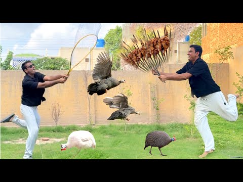 Mai Ne Guinea Fowls ko Roast kr Dia||How to Roast Guinea Fowl?