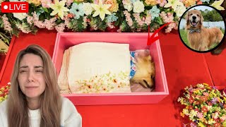 Tucker Budzyn Funeral | Final Farewell & Emotional Tribute to Beloved Dog Tucker 💔🕊️