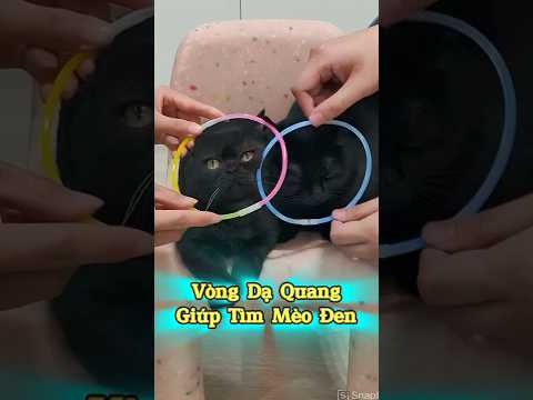 👍 Chiếc Vòng Dạ Quang Giúp Tìm Mèo Đen Dễ Ợt #emthocreview #SenBoss #PetCatTikTok