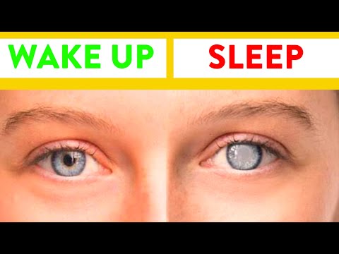 10 Shocking Facts About Your Body That Blow 😱 Your Mind l Amazing Facts About Human Body l Mind Fact