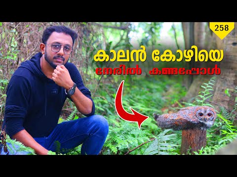 കാലൻ കോഴിയെ നേരിൽ കണ്ടപ്പോൾ | Tricks Episode : 258