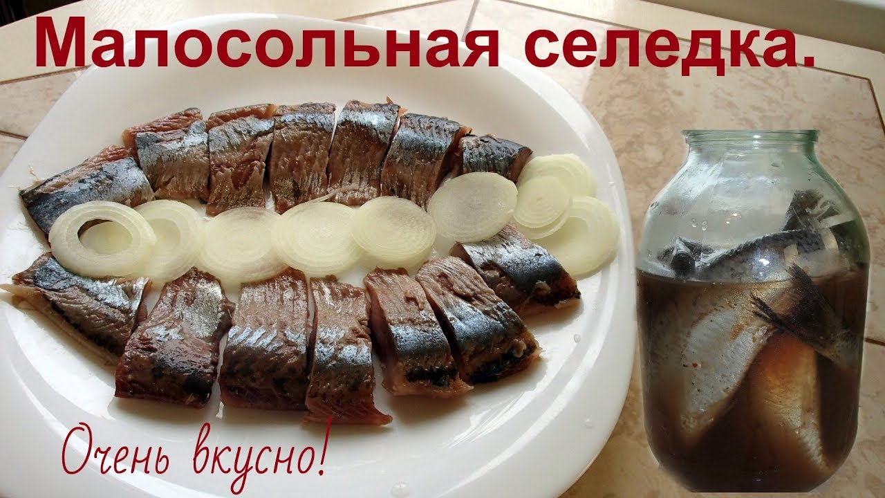 Малосольная и вкусная сельдь пряного посола