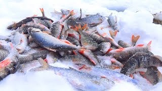 видео