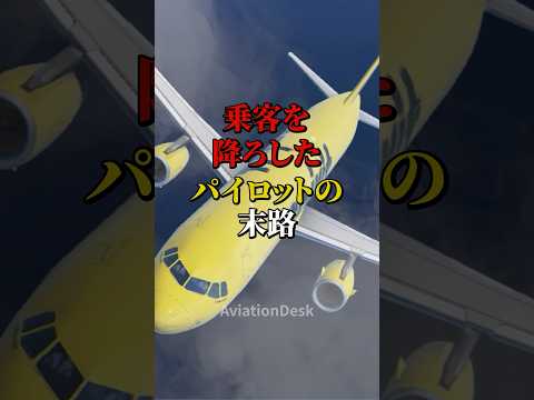 乗客を降ろしたパイロットの末路 #航空機 #飛行機 #ATC