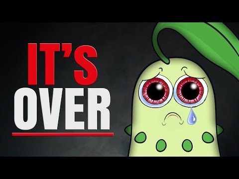 Is This The End for Chikorita?
