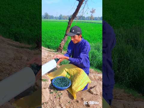 Allah ki madad#trending #viralvideo #emostional #youtubeshorts