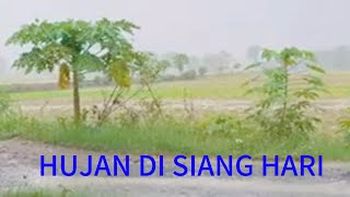 Raining during the day | The atmosphere of a house on the edge of a rice field