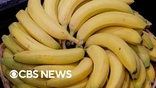 YouTube video thumbnail: The Science Behind Making the Perfect Banana