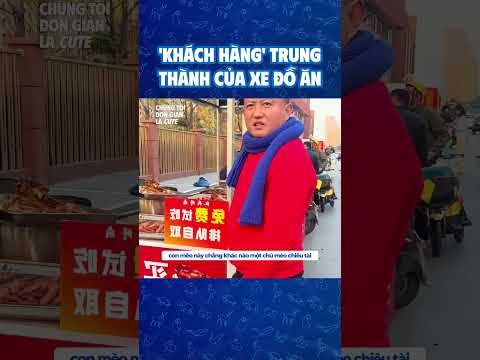 Khách hàng trung thành của xe đồ ăn #dongvat